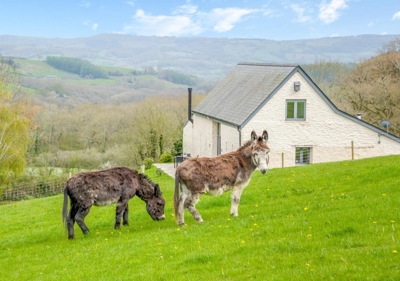 Usk Barn Apartment Llanbadoc ภายนอก รูปภาพ